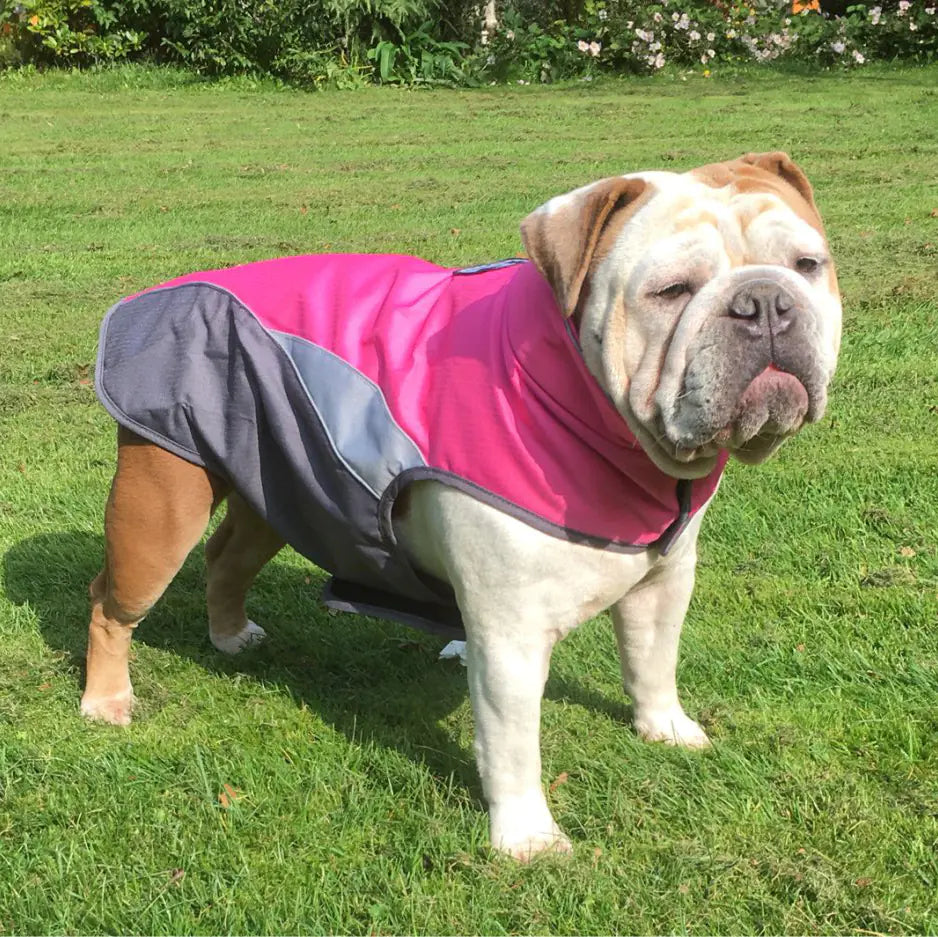Storm Shield weather anxiety coat